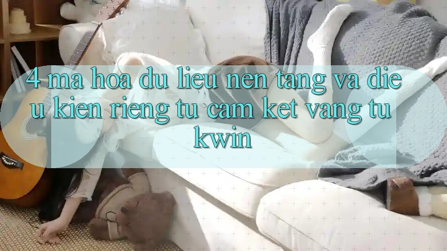 4. Mã hóa dữ liệu Nền tảng Và Điều kiện riêng tư: Cam Kết Vàng Từ Kwin