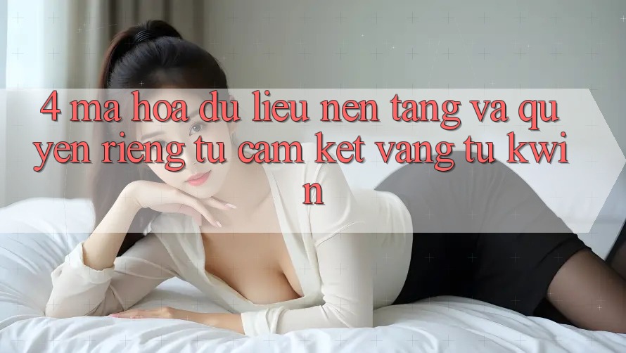4. Mã hóa dữ liệu Nền tảng Và Quyền Riêng Tư: Cam Kết Vàng Từ Kwin