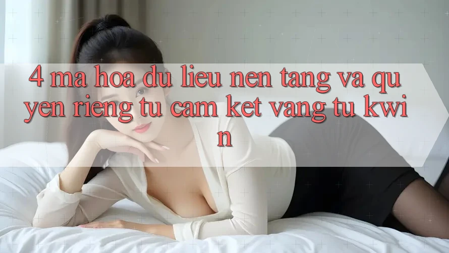 4. Mã hóa dữ liệu Nền tảng Và Quyền Riêng Tư: Cam Kết Vàng Từ Kwin